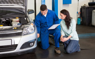 Maintenance and Longevity