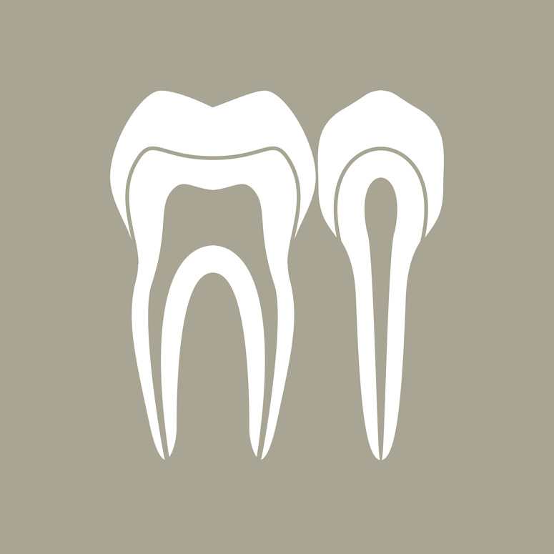 Teeth require regular care if you want them to stay in your mouth. Our Placerville dentists can help.