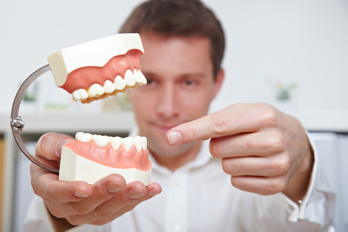 Our Placerville dentists can help you understand your teeth.
