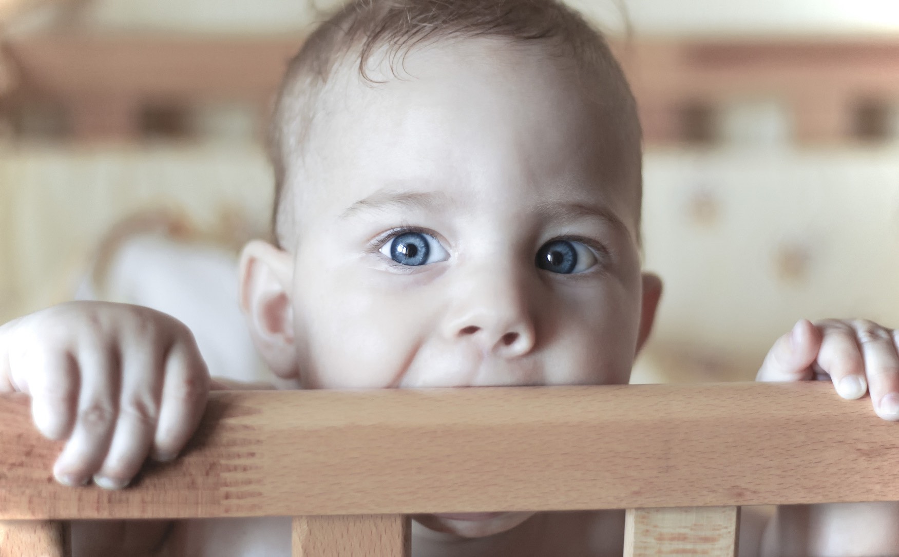 Babies often chew objects in their environment when they are teething.