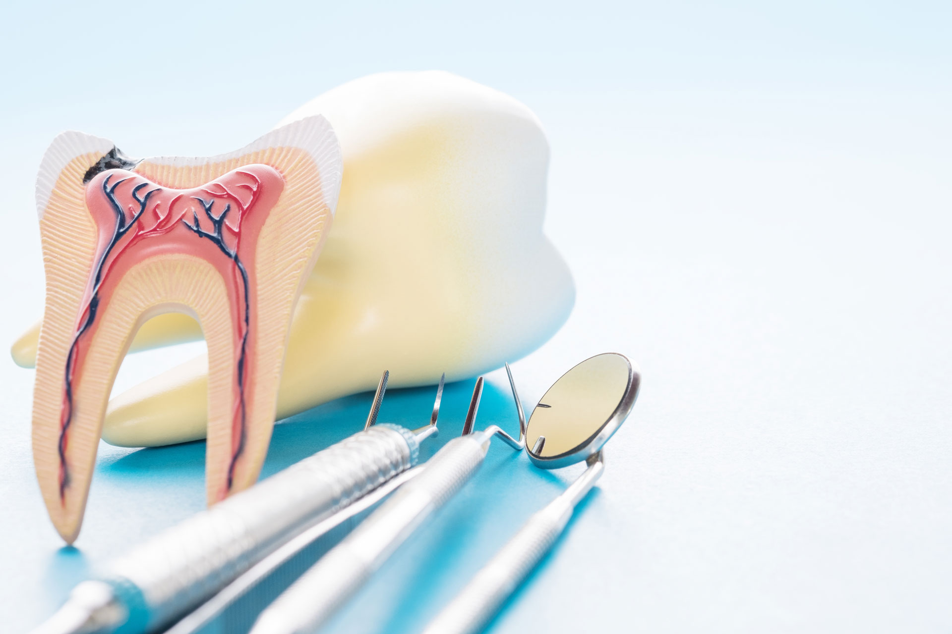 Endodontist