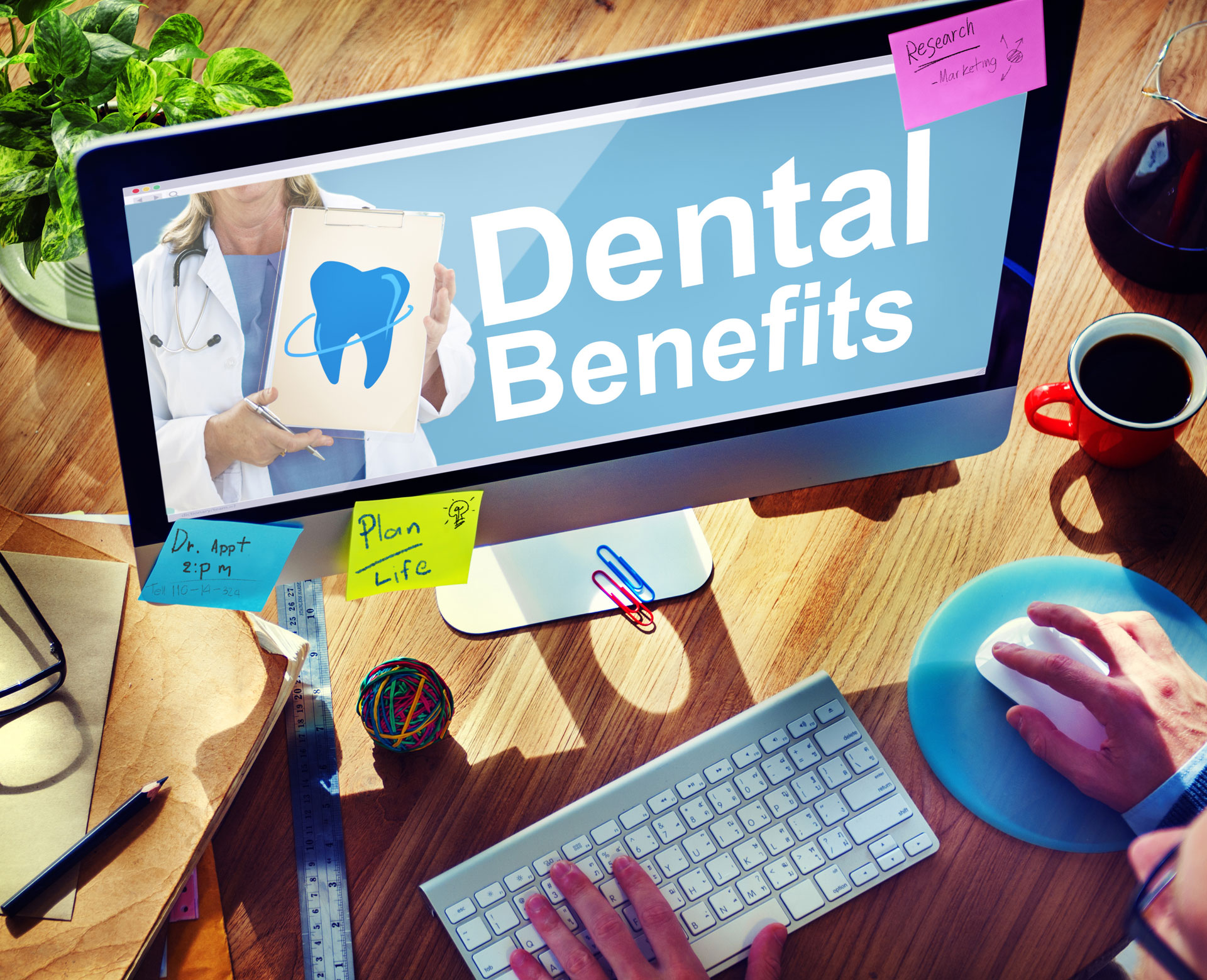 Dental Insurance